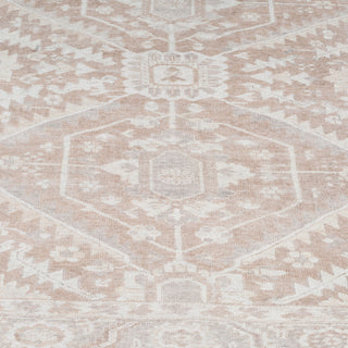 Flatwoven Washable Distressed Beige Area Rug - Tolka