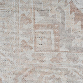 Flatwoven Washable Distressed Beige Area Rug - Tolka
