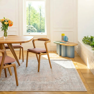 Flatwoven Washable Traditional Distressed Beige Rug - Zoe