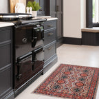 Washable Multicolour Persian Style Mat - Rani