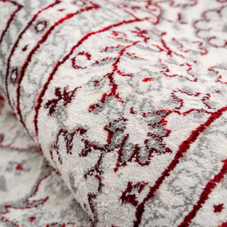 Modern Red Abstract Oriental Rugs
