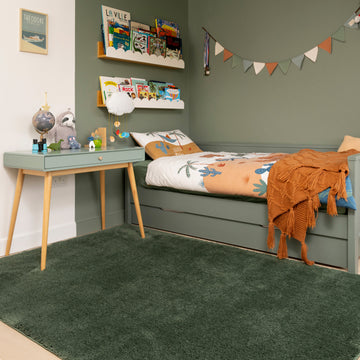 Soft Washable Green Shaggy Rug