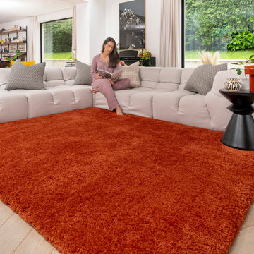 Premium Washable Terracotta Shaggy Rug