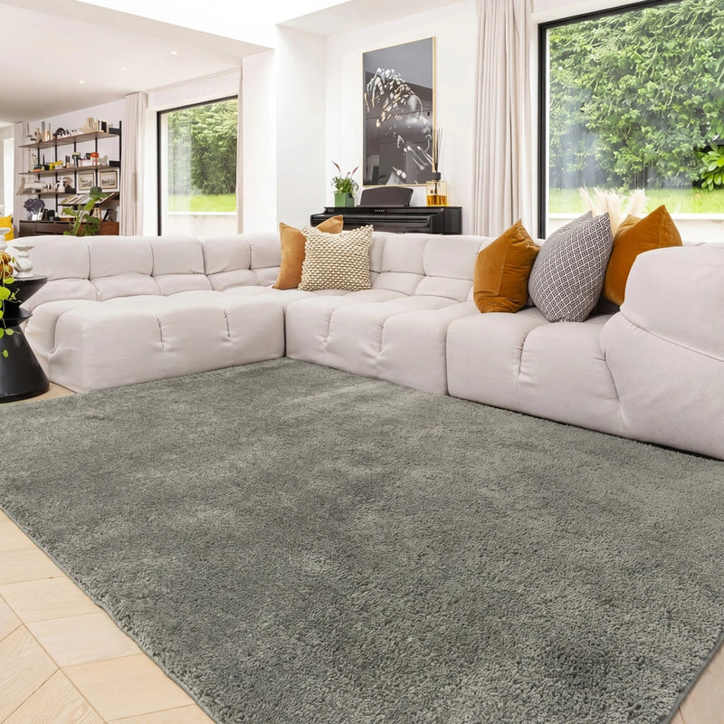 Try our rug finder