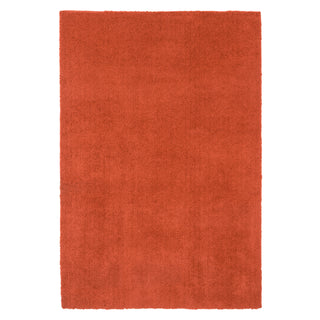 Cosy Washable Shaggy Terracotta