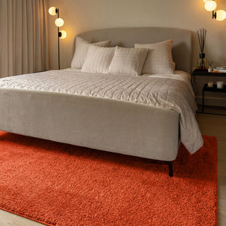 Cosy Washable Shaggy Terracotta