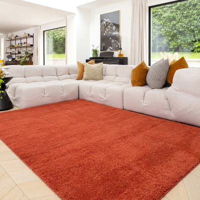 Cosy Washable Shaggy Terracotta