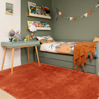 Cosy Washable Shaggy Terracotta