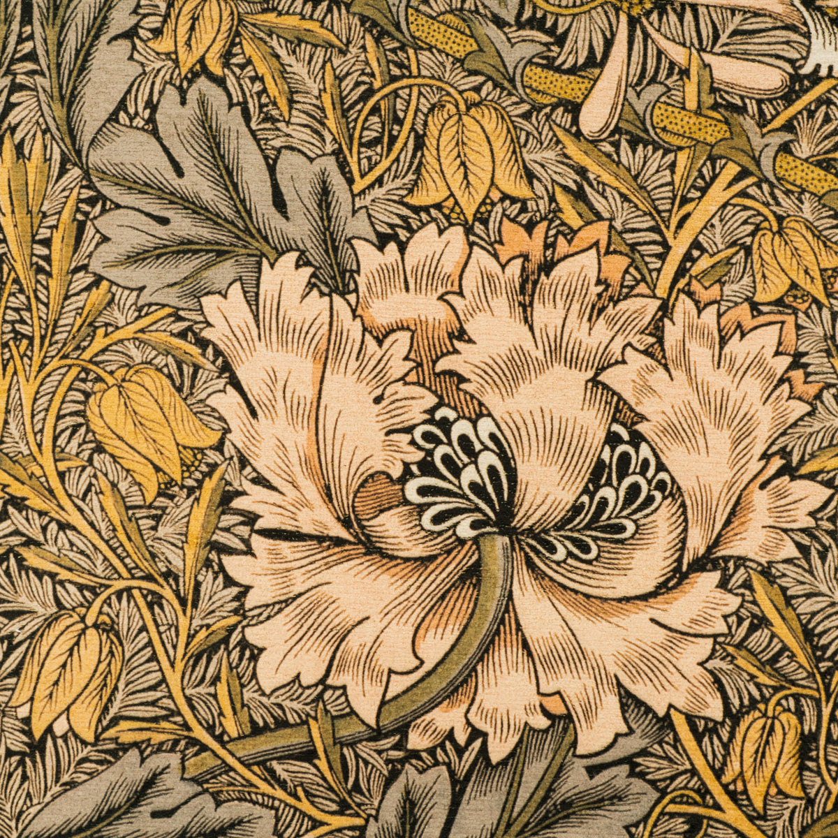 Washable Honeysuckle Golden Runner - William Morris